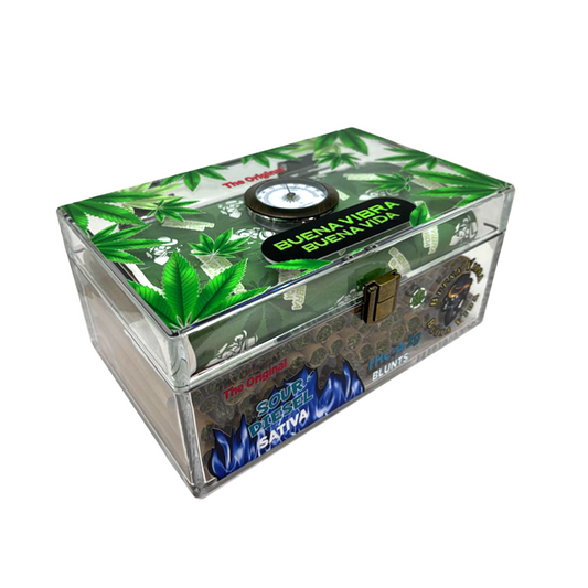THC-A HUMIDOR BLUNTS SOUR DIESEL SATIVA